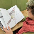 Children's Book | Kookaburra Kookaburra Children's Book | Kookaburra Kookaburra